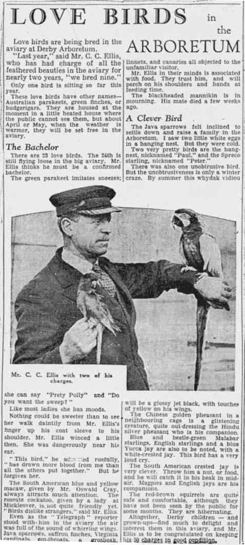 Love Birds in The Arboretum Derby Evening Telegraph, February 22nd 1933